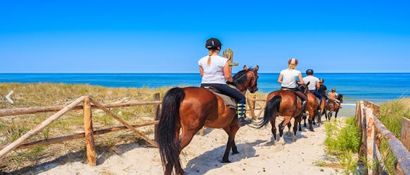Horse riding at the golden sandy beach of Antalya